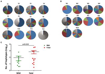 Impact of Intrahost NS5 Nucleotide Variations on Dengue Virus Replication